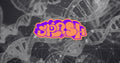 4” x 2.25” Orange Purple “DNA Genetics” OG Graffiti Splash Logo Matte Finish Waterproof Vinyl Sticker